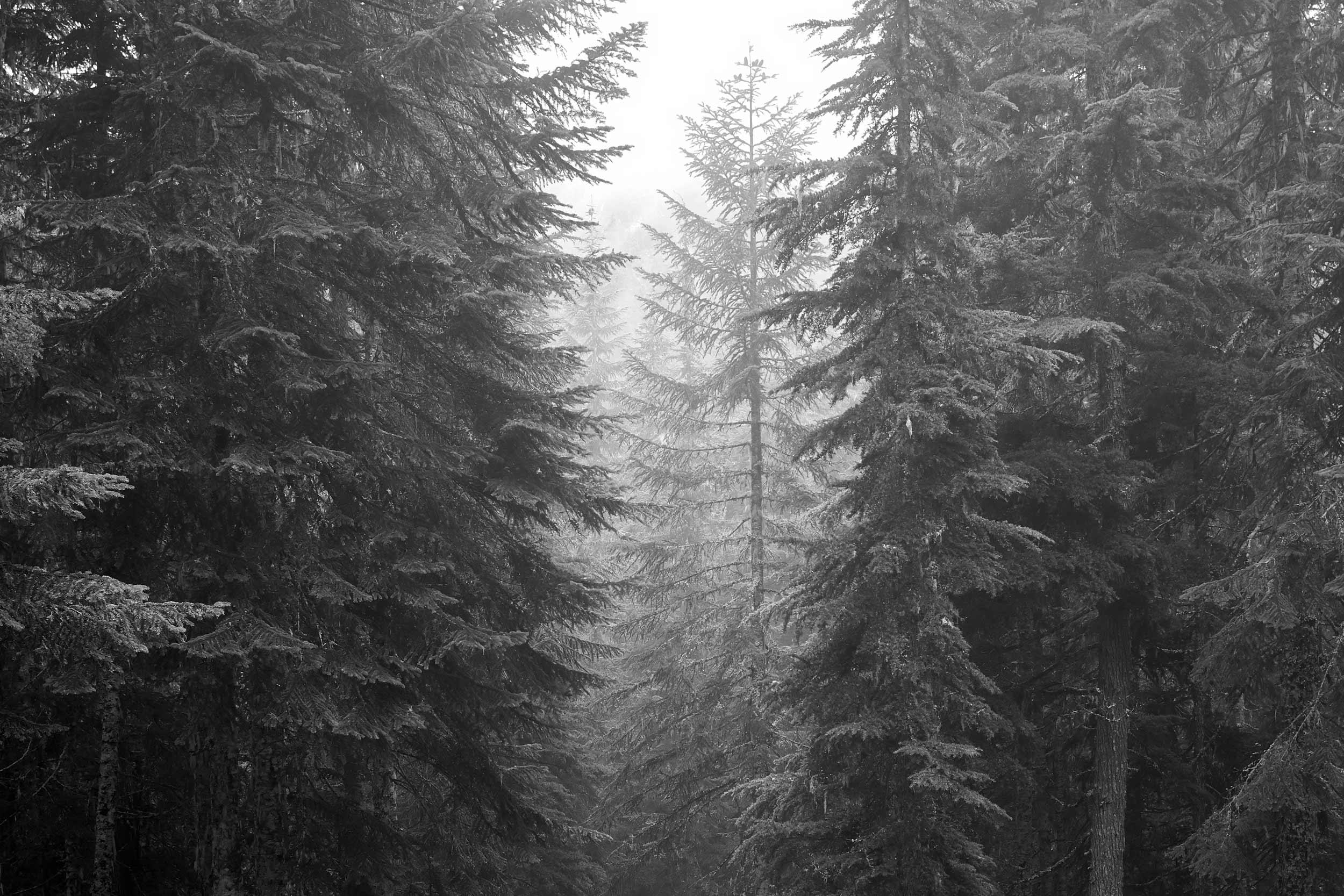 Snow_Lake__16